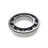 BEARING 6007