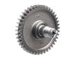 OUTPUT COUNTERSHAFT ASSY. (41T)