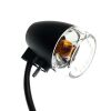 Signal Light, Rear-R