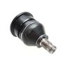 Ball Joint,Lwr