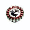 STATOR ASSY (Linhai M550)
