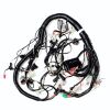 Main Wire Ass´y