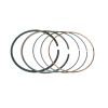 PISTON RING ASSEMBLY
