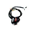 LEFT HANDLE SWITCH(EU)