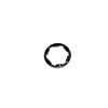 SPLINE WASHER