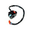 SWITCH ASSY (05 MODEL 50TH MODEL)