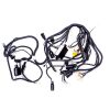 MAIN WIRE
