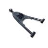 A. Arm, Lower, Left (black)