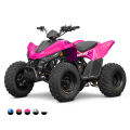 Linhai ATV 110 4x2 EFI CE