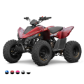 Linhai ATV 110 4x2 EFI CE