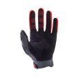 FOX Dirtpaw Glove Ce - Grey/Red MX24