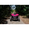 Linhai ATV 110 4x2 EFI CE, Pink