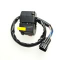SWITCH ASSY., LH