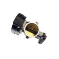 Throttle Body w/TPS