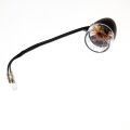 Signal Light, Rear-R