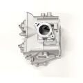 CYLINDER HEAD - CAMSHAFT CARRIER COMBINATION