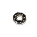 RADIAL BALL BRG. 6204