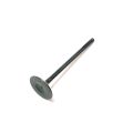 INTAKE VALVE