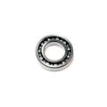 BEARING 6006