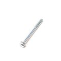 BOLT M6X55