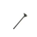 EXHAUST VALVE