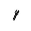 SCREW, SPECIAL