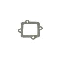 Gasket, Reed Valve