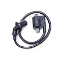 IGNITON COIL AND WIRE