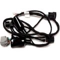 TAILLIGHT TRANSITION LINE