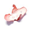 Front fender （RED)