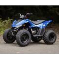 Linhai ATV 110 4x2 EFI CE