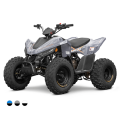 Linhai ATV 110 4x2 EFI CE