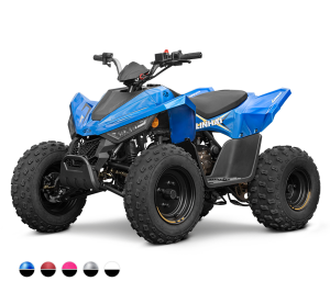 Linhai ATV 110 4x2 EFI CE