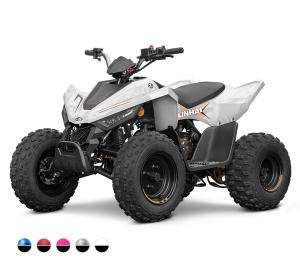 Linhai ATV 110 4x2 EFI CE