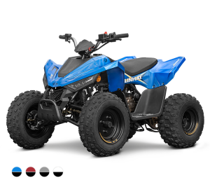 Linhai ATV 110 4x2 EFI CE