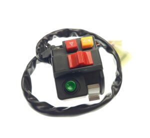 SWITCH ASSY (FOR EUROPE)