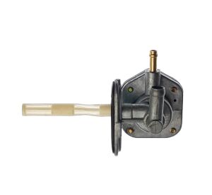 Valve, Fuel