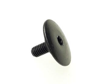 SCREW, BODY 6MM