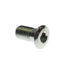 SCREW, SOCKET