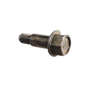 Hex Washer Ladder Bolt