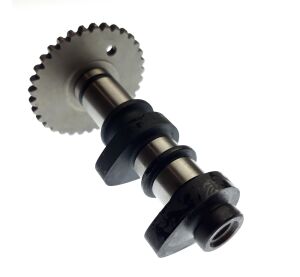 CAMSHAFT Ass'Y,  intake