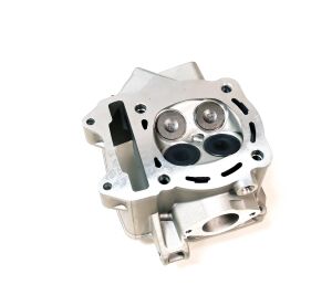 Cylinder Head Ass'y