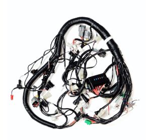 Main Wire Ass´y