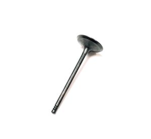 VALVE, INTAKE