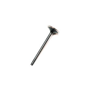 EXHAUST VALVE