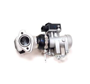 Fuel injection assy