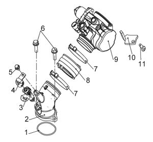 FUEL INJECTION ASSY