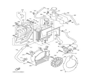 RADIATOR AND HOSE