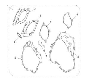 FRAGILE GASKET ASSY.