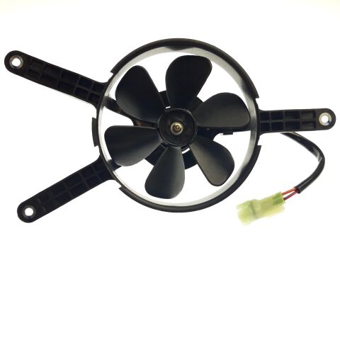 fan